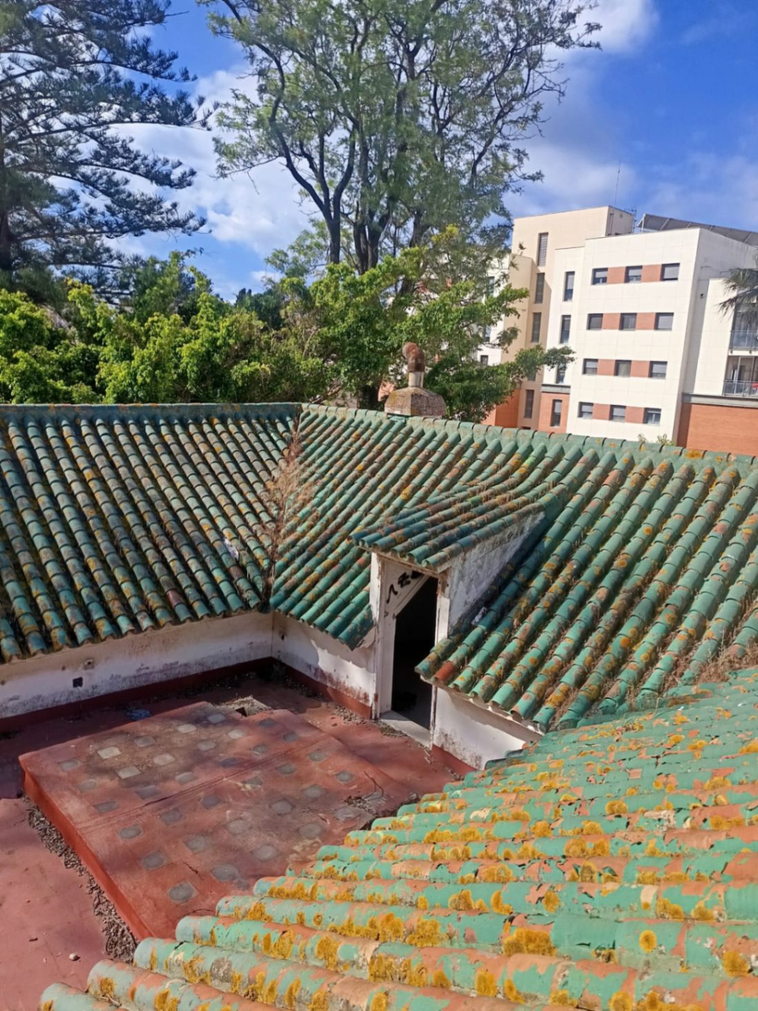 Parcela urbana terciaria de 6.657 m² con 2.329 m² edificables en San Roque