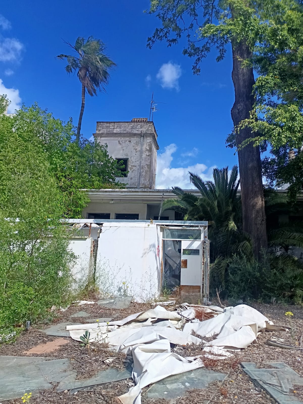 Suelo urbano terciario de 6.657 m² con 2.329 m² edificables en San Roque