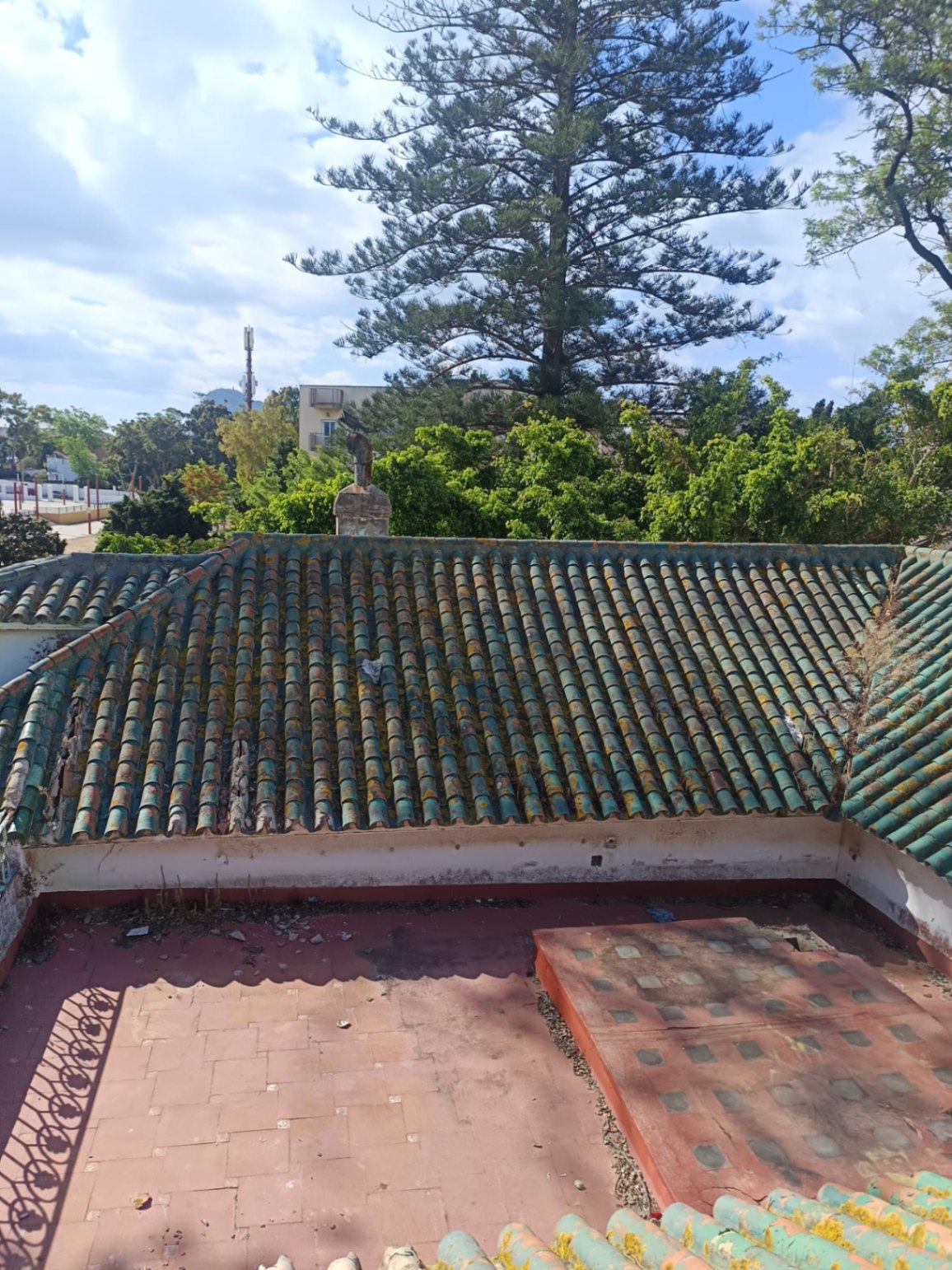 Suelo urbano terciario de 6.657 m² con 2.329 m² edificables en San Roque